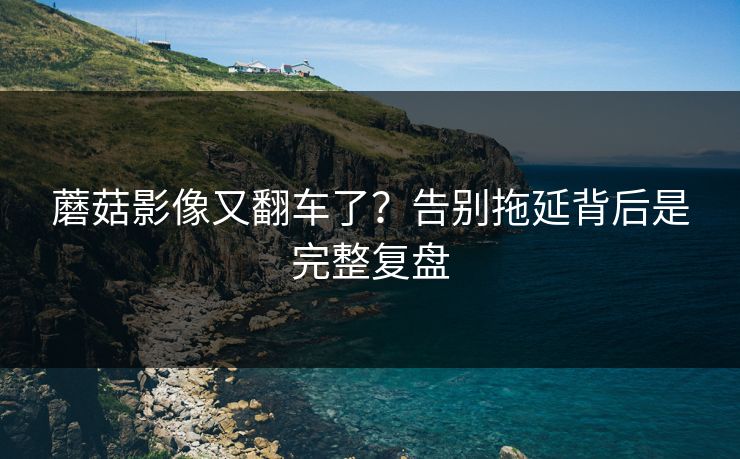 蘑菇影像又翻车了?告别拖延背后是完整复盘 蘑菇影像又翻车了?告别拖延背后是完整复盘
