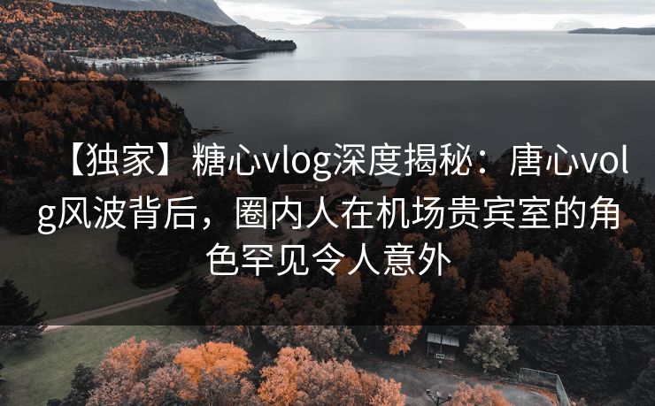 【独家】糖心vlog深度揭秘:唐心volg风波背后,圈内人在机场贵宾室的角色罕见令人意外 【独家】糖心vlog深度揭秘:唐心volg风波背后,圈内人在机场贵宾室的角色罕见令人意外