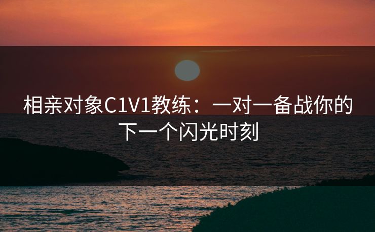 相亲对象C1V1教练：一对一备战你的下一个闪光时刻