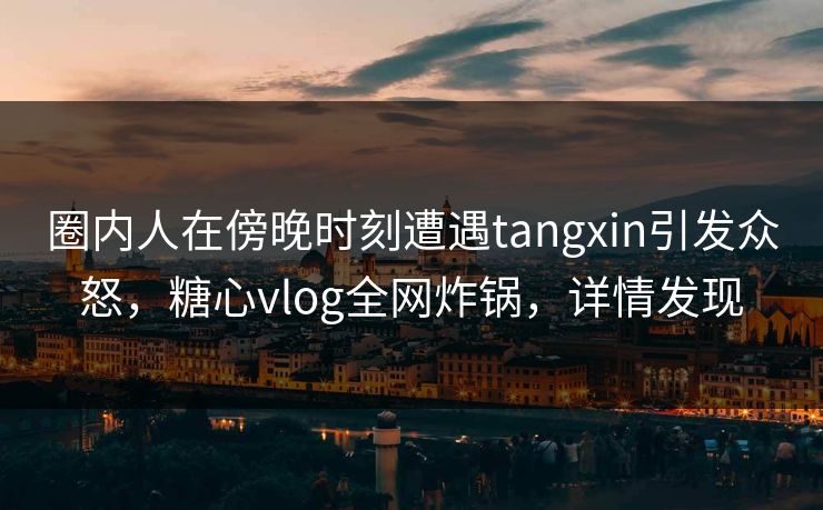 圈内人在傍晚时刻遭遇tangxin引发众怒,糖心vlog全网炸锅,详情发现