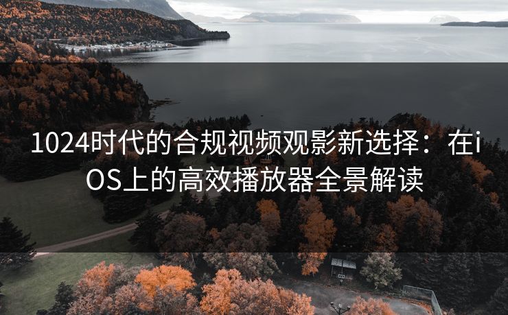 1024时代的合规视频观影新选择：在iOS上的高效播放器全景解读